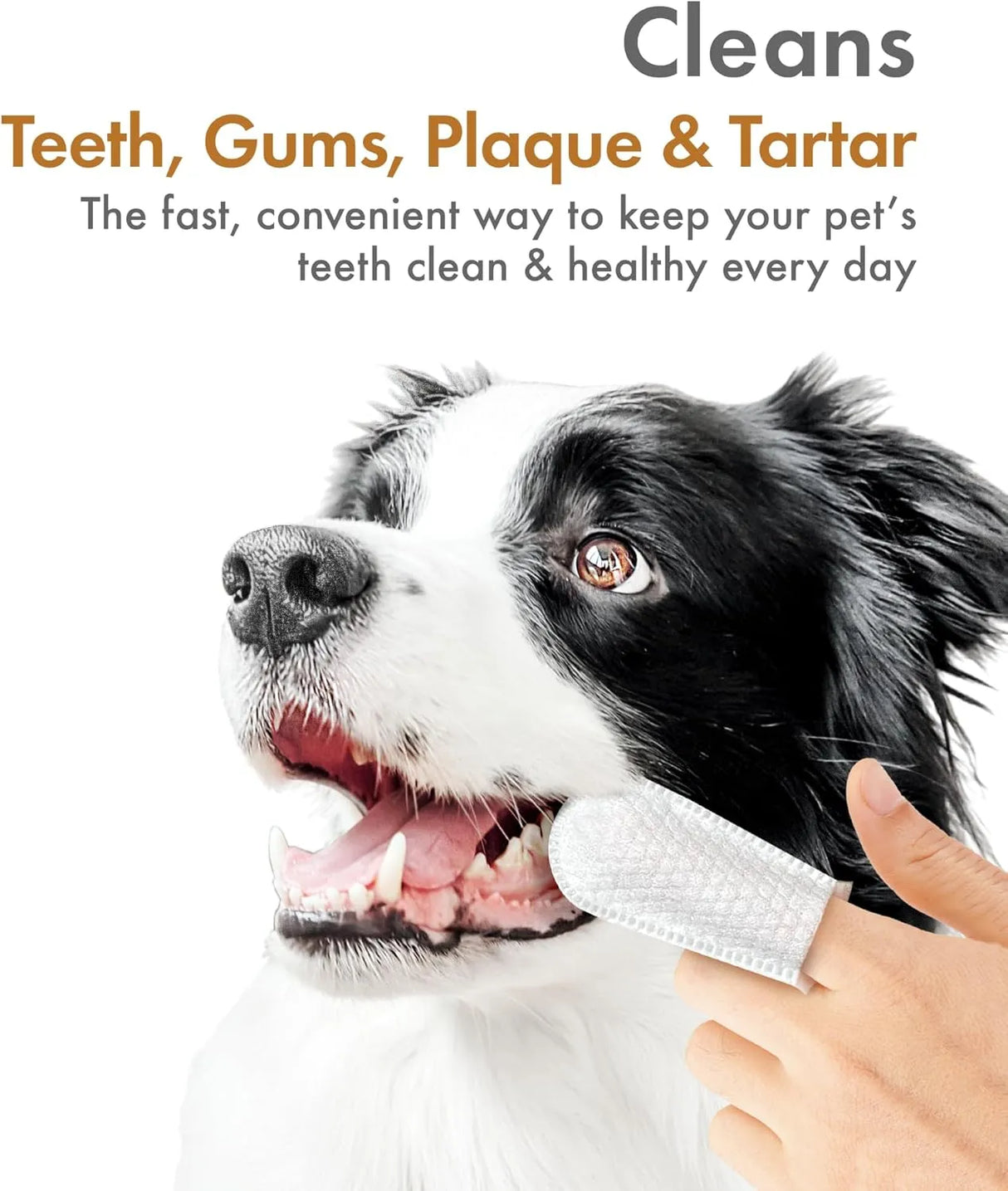 PETKIN - Petkin Fingertip Tooth Wipes for Dogs and Cats Peanut Butter 100 Toallitas - The Red Vitamin MX - Cuidado Dental Para Perros - {{ shop.shopifyCountryName }}