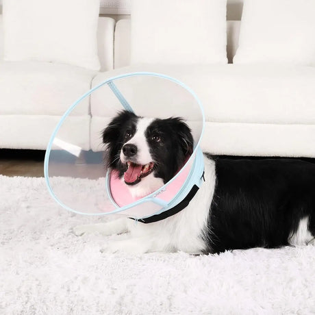 ICOYEA - ICOYEA Sponge Core Dog Cone PINK Size 2 Neck: 8.7"- 10.7" - The Red Vitamin MX - Collares y Conos De Recuperación Para Perros - {{ shop.shopifyCountryName }}