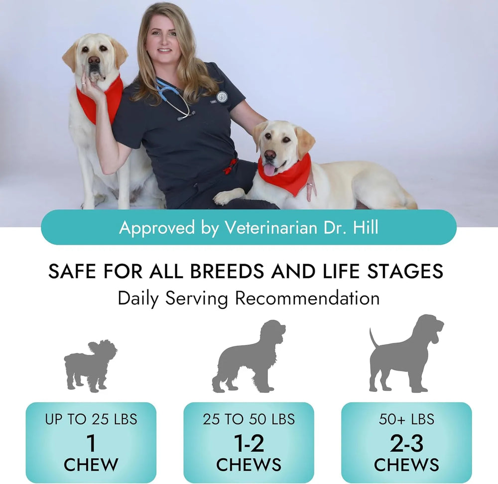 PET VET - Pet Vet Multi Soft Chews for Dogs Beef Liver 60 Masticables - The Red Vitamin MX - Multivitamínicos Para Perros - {{ shop.shopifyCountryName }}