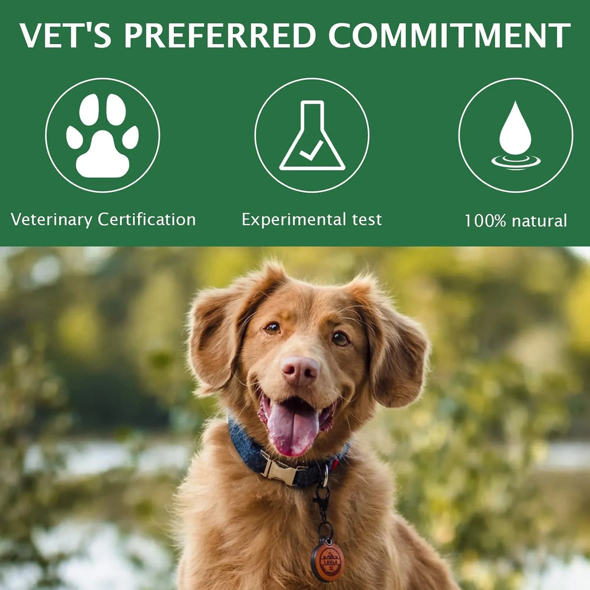 ELAIMEI - ELAIMEI Pet Eye Drops for Dog & Cat 60Ml. - The Red Vitamin MX - Cuidado De Los Ojos De Los Perros - {{ shop.shopifyCountryName }}