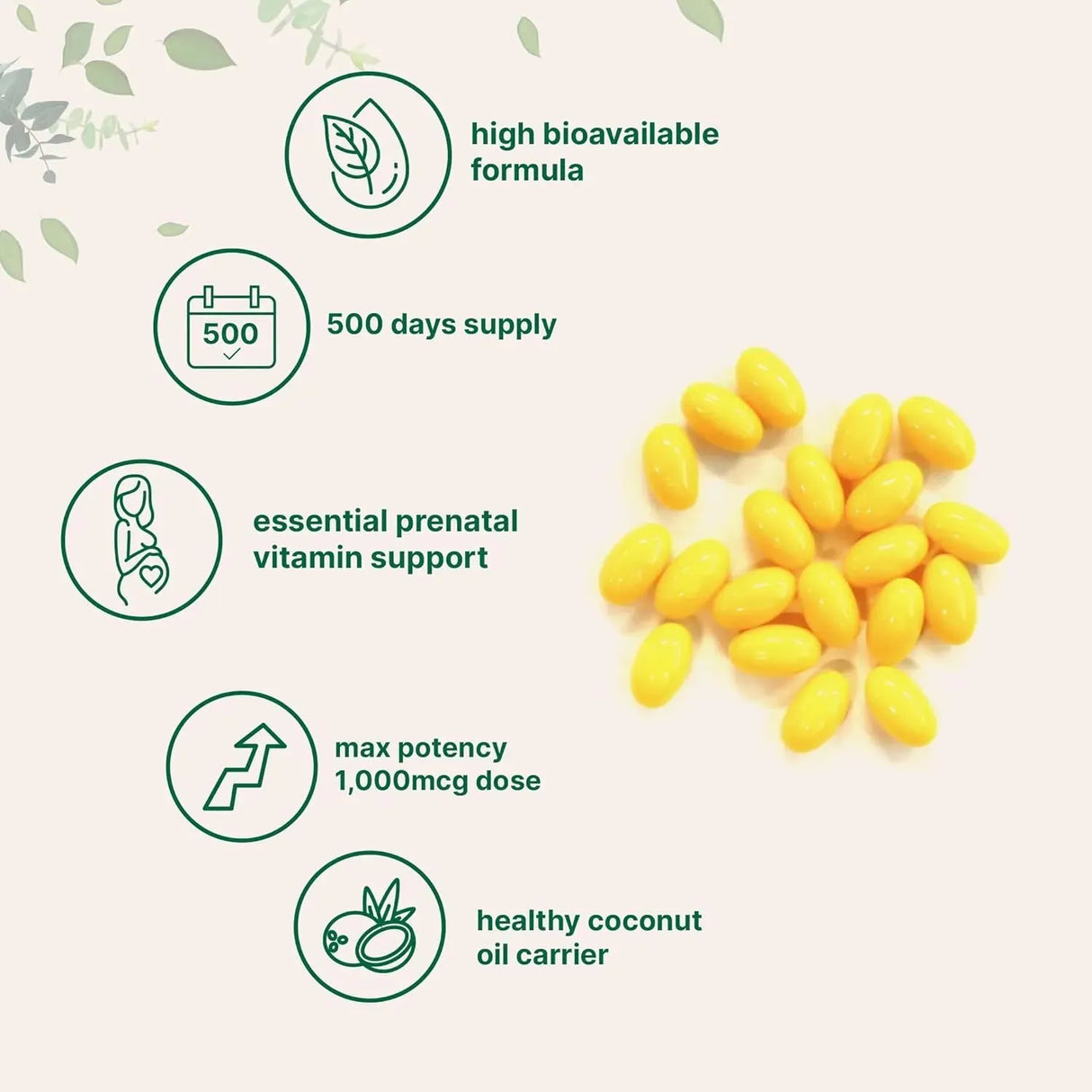 MICRO INGREDIENTS - Micro Ingredients Folic Acid 1,000mcg 500 Capsulas Blandas - The Red Vitamin MX - Suplementos Alimenticios - {{ shop.shopifyCountryName }}