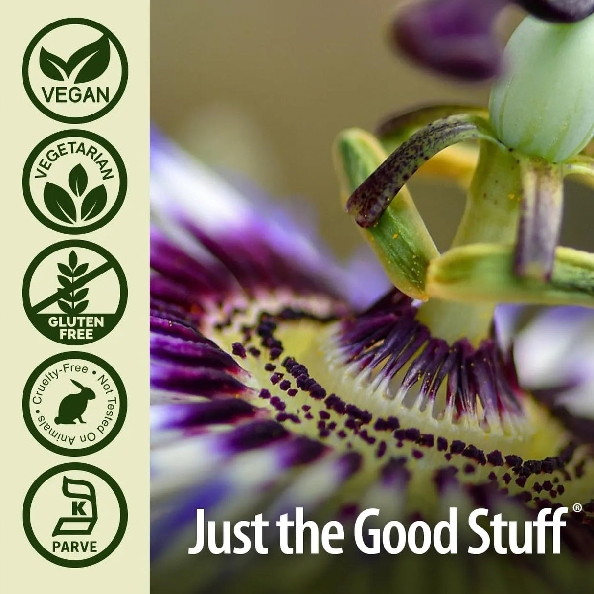 NATURE´S ANSWER - Nature's Answer Passion Flower 500Mg. 60 Capsulas - The Red Vitamin MX - Suplementos Alimenticios - {{ shop.shopifyCountryName }}