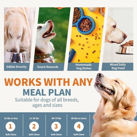 WONTECHMI - WONTECHMI Dog Multivitamin 180 Masticables - The Red Vitamin MX - Multivitamínicos Para Perros - {{ shop.shopifyCountryName }}