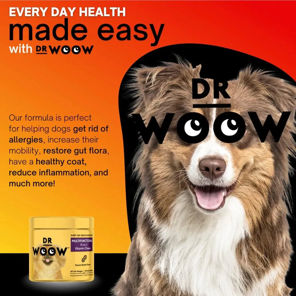 DR WOOW - DR WOOW Multivitamins for Dogs 90 Masticables - The Red Vitamin MX - Multivitamínicos Para Perros - {{ shop.shopifyCountryName }}