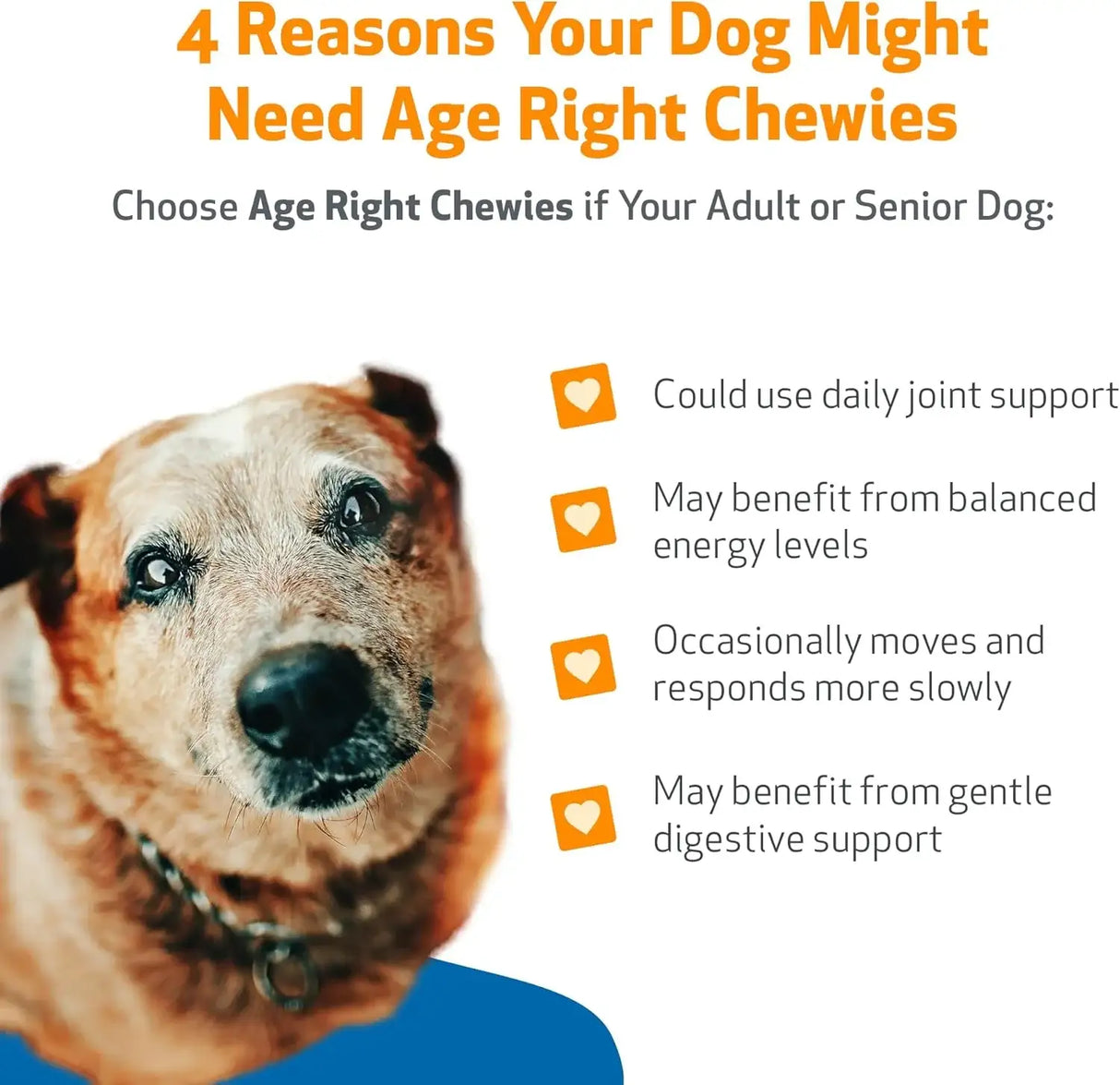 PET WELLBEING - Pet Wellbeing Age Right Chewies for Dogs in their Prime & Senior Years 90 Masticables - The Red Vitamin MX - Multivitamínicos Para Perros - {{ shop.shopifyCountryName }}