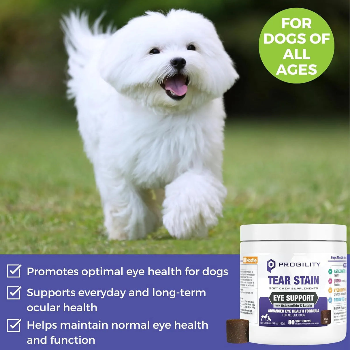 NOOTIE - Nootie Progility Tear Stain Supplement for Dogs 80 Masticables - The Red Vitamin MX - Cuidado De Los Ojos De Los Perros - {{ shop.shopifyCountryName }}