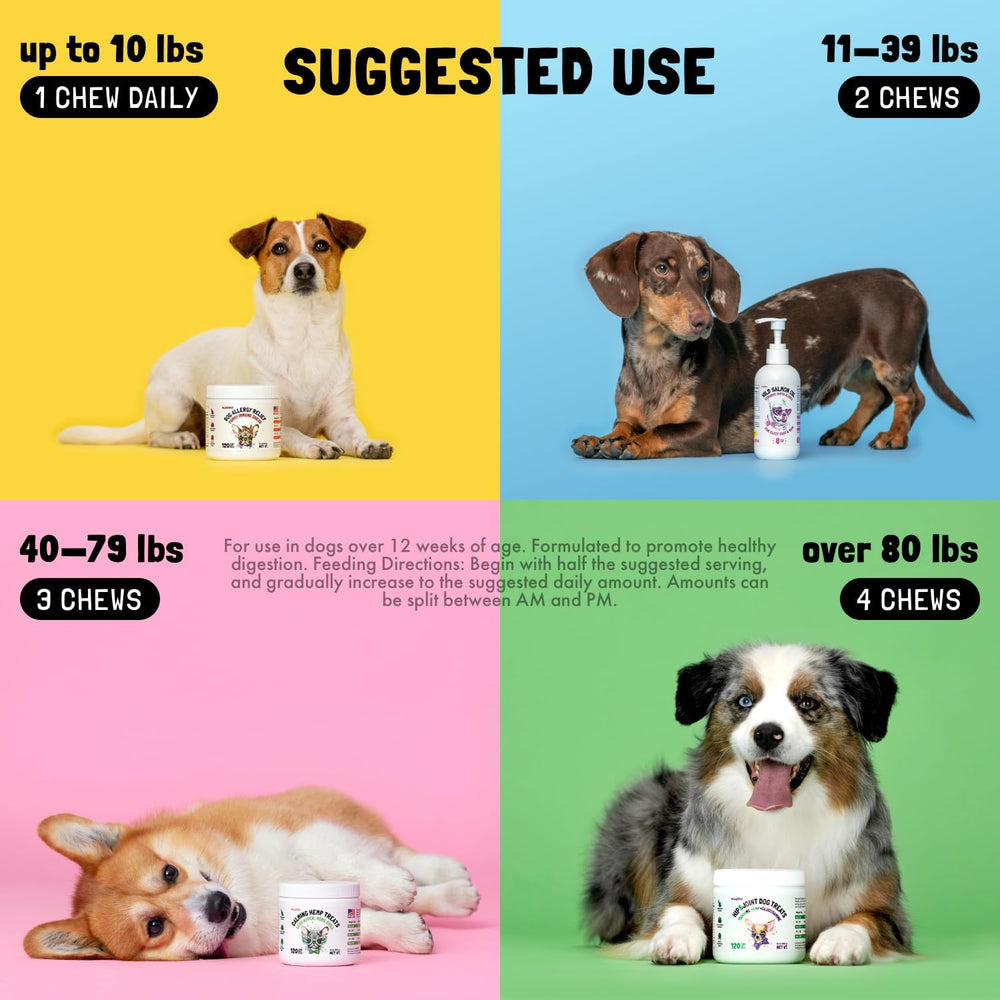 LEGITPET - LEGITPET Mushroom Complex Treats for Dogs 30 Masticables - The Red Vitamin MX - Suplementos Herbales Para Perros - {{ shop.shopifyCountryName }}
