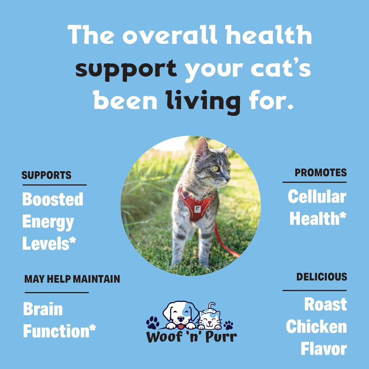 Woof 'n' Purr Cat Multivitamin 1 Fl.Oz.