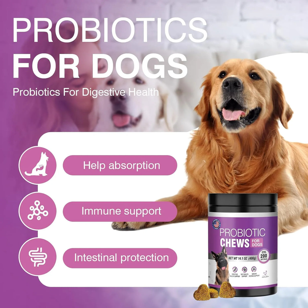TTLXRL - TTLXRL Probiotics for Dogs 200 Tabletas Masticables - The Red Vitamin MX - Probióticos Para Perros - {{ shop.shopifyCountryName }}