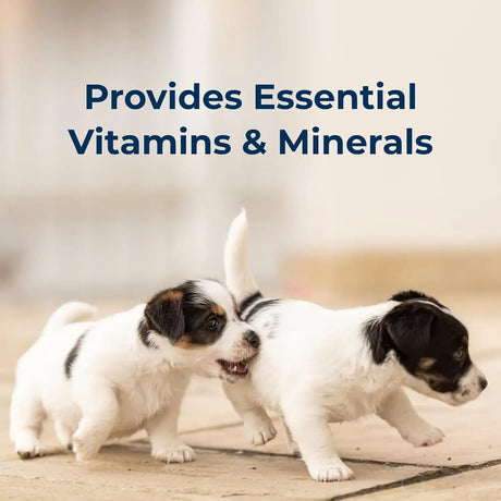 PETAG - Pet-Ag PetLac Ready-to-Feed Milk Replacement for Puppies Newborn to Six Weeks Old 946Ml. - The Red Vitamin MX - Sustitutos De Leche Para Perros - {{ shop.shopifyCountryName }}