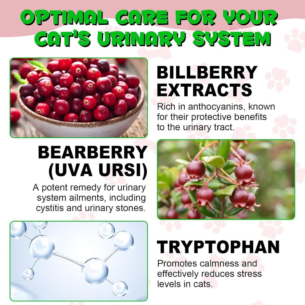 Oimmal Urinary Tract for Cats 60Ml.