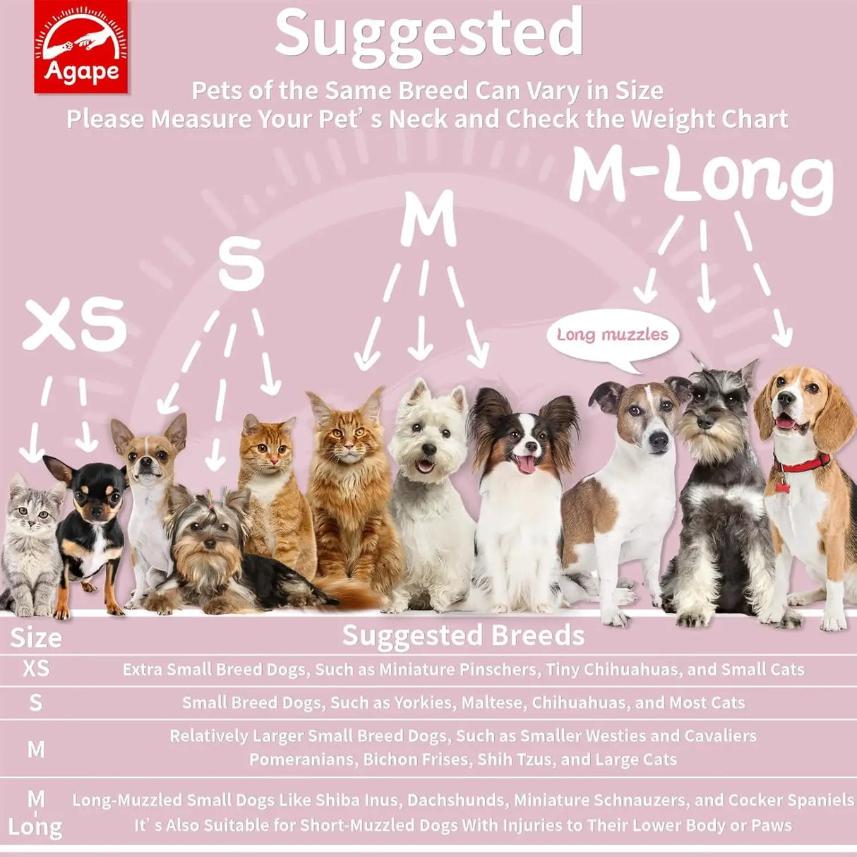 AGAPE - Agape Soft Cone for Cats & Dogs PINK MEDIUM - The Red Vitamin MX - Collares y Conos De Recuperación Para Perros - {{ shop.shopifyCountryName }}