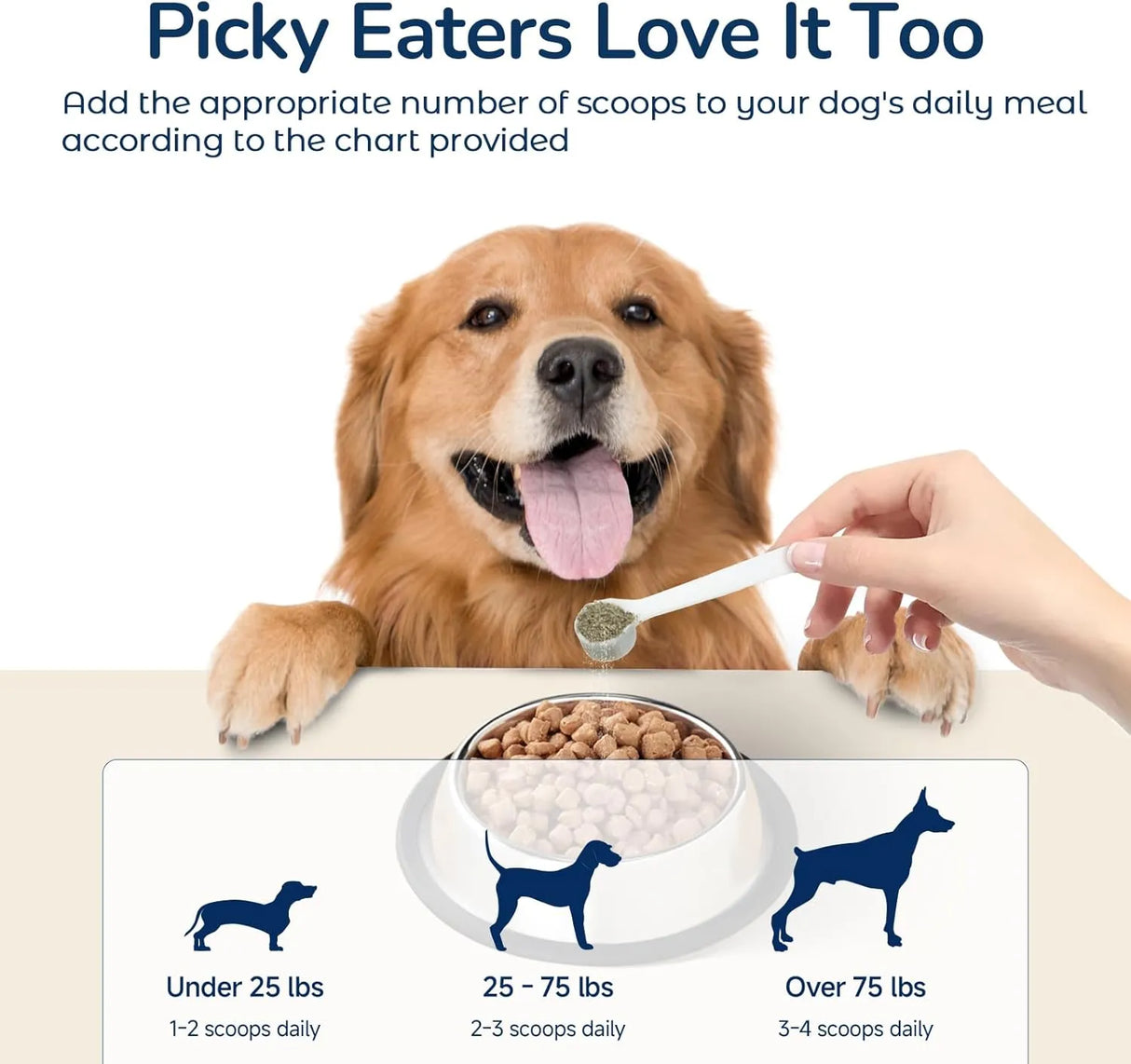 COZYFUN - Cozyfun Dental Powder 80Gr. - The Red Vitamin MX - Cuidado Dental Para Perros - {{ shop.shopifyCountryName }}