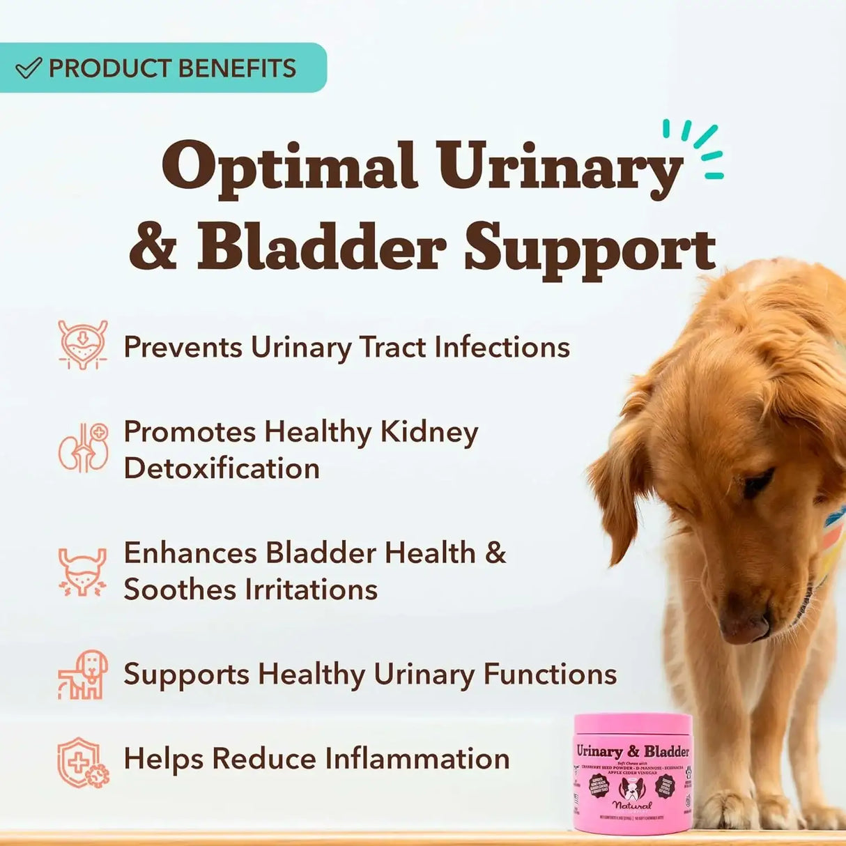 NATURAL DOG - Natural Dog Company Cranberry Supplement for Dogs 90 Masticables - The Red Vitamin MX - Salud De Tracto Urinario Para Perros - {{ shop.shopifyCountryName }}