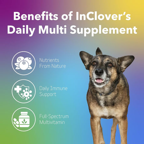 INCLOVER - InClover Daily Multi Cat & Dog Vitamin 100Gr. - The Red Vitamin MX - Suplementos Herbales Para Perros - {{ shop.shopifyCountryName }}
