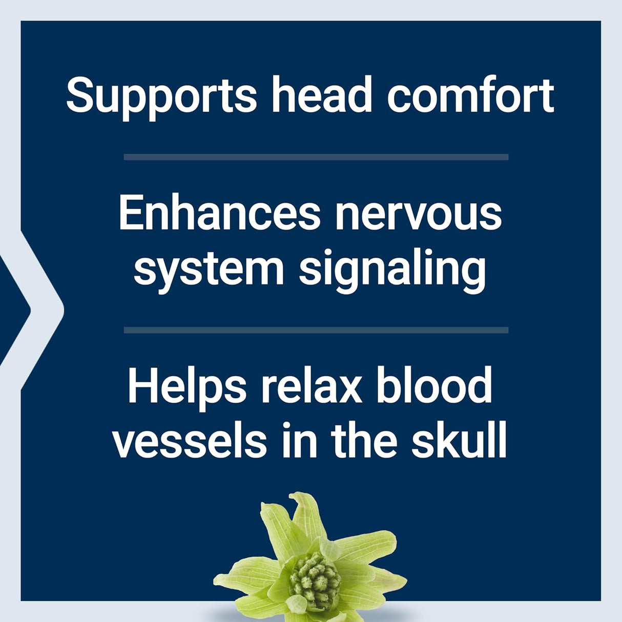 Life Extension Migra-Eeze Butterbur Root Extract 60 Capsulas Blandas