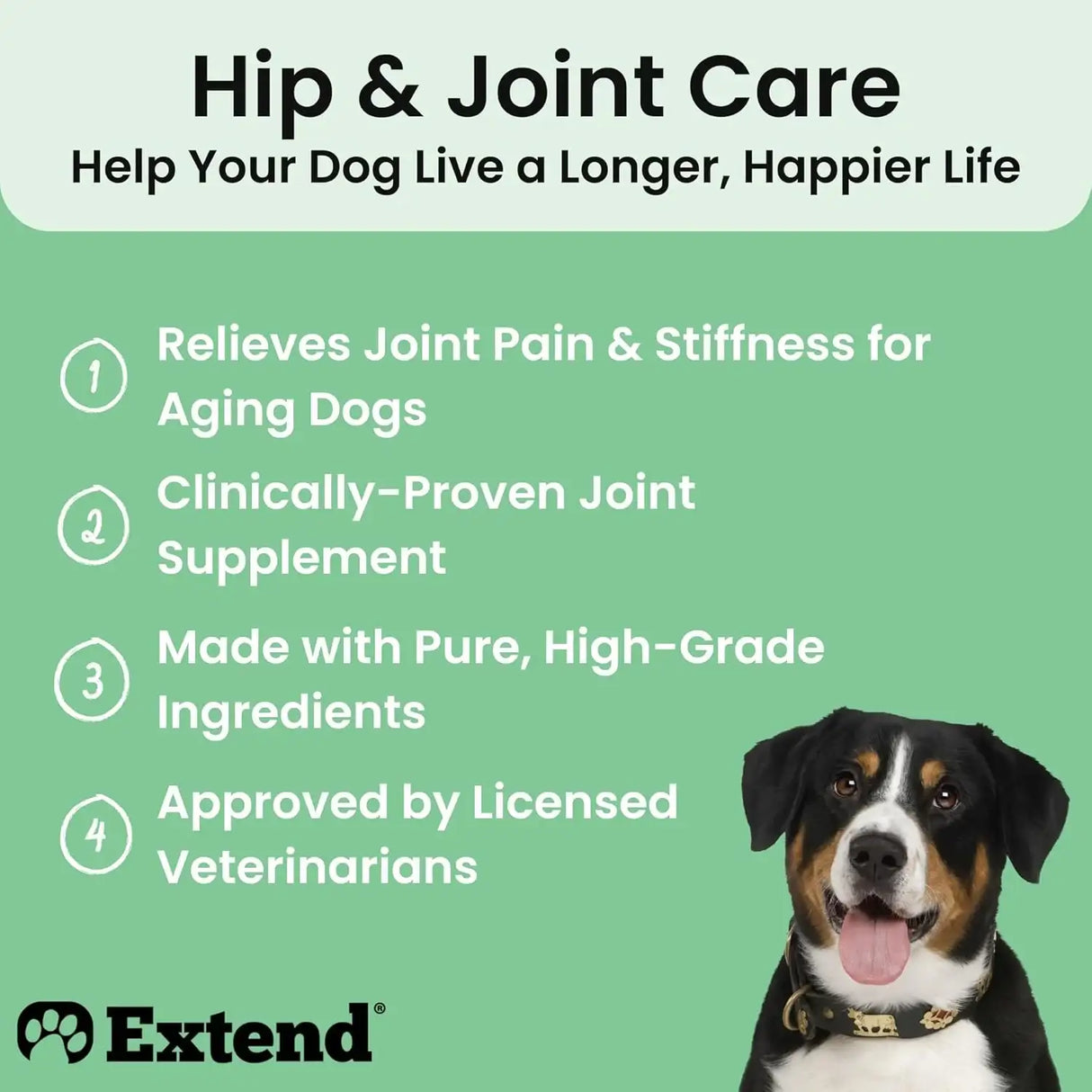 EXTEND - Extend Joint Care for Dogs 30 Paquetes 2 Pack - The Red Vitamin MX - Cuidado De Cadera Y Articulaciones Para Perros - {{ shop.shopifyCountryName }}