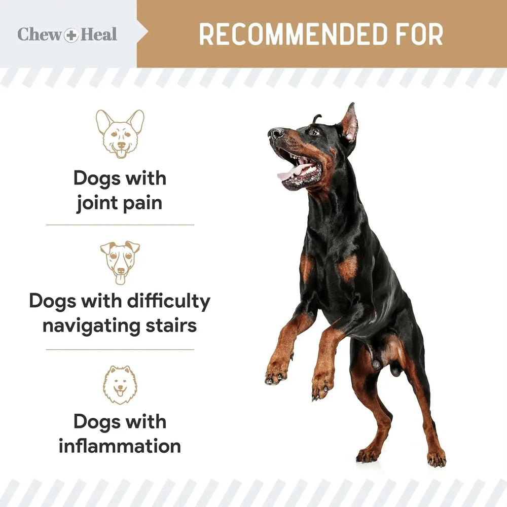 CHEW + HEAL - Chew + Heal Labs Glucosamine Hip and Joint Supplement for Dogs 90 Masticables - The Red Vitamin MX - Cuidado De Cadera Y Articulaciones Para Perros - {{ shop.shopifyCountryName }}