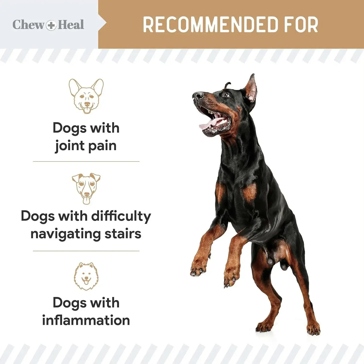 CHEW + HEAL - Chew + Heal Labs Glucosamine Hip and Joint Supplement for Dogs 90 Masticables - The Red Vitamin MX - Cuidado De Cadera Y Articulaciones Para Perros - {{ shop.shopifyCountryName }}