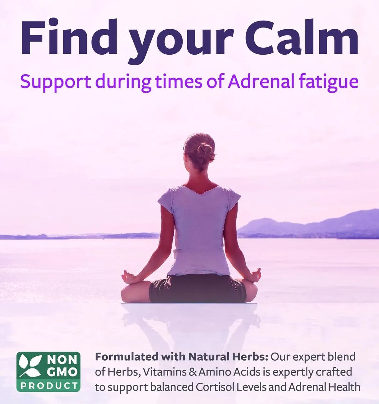 HEALTHS HARMONY - Healths Harmony Adrenal Support 120 Capsulas - The Red Vitamin MX - Suplementos Alimenticios - {{ shop.shopifyCountryName }}