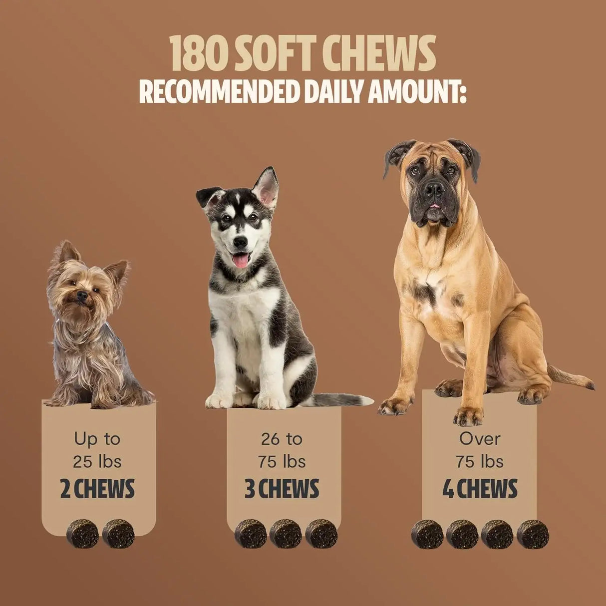 FRESHCAP - FreshCap Mushrooms Shroomies 13 in 1 Turkey Tail Mushroom for Dogs 180 Masticables - The Red Vitamin MX - Suplementos Herbales Para Perros - {{ shop.shopifyCountryName }}