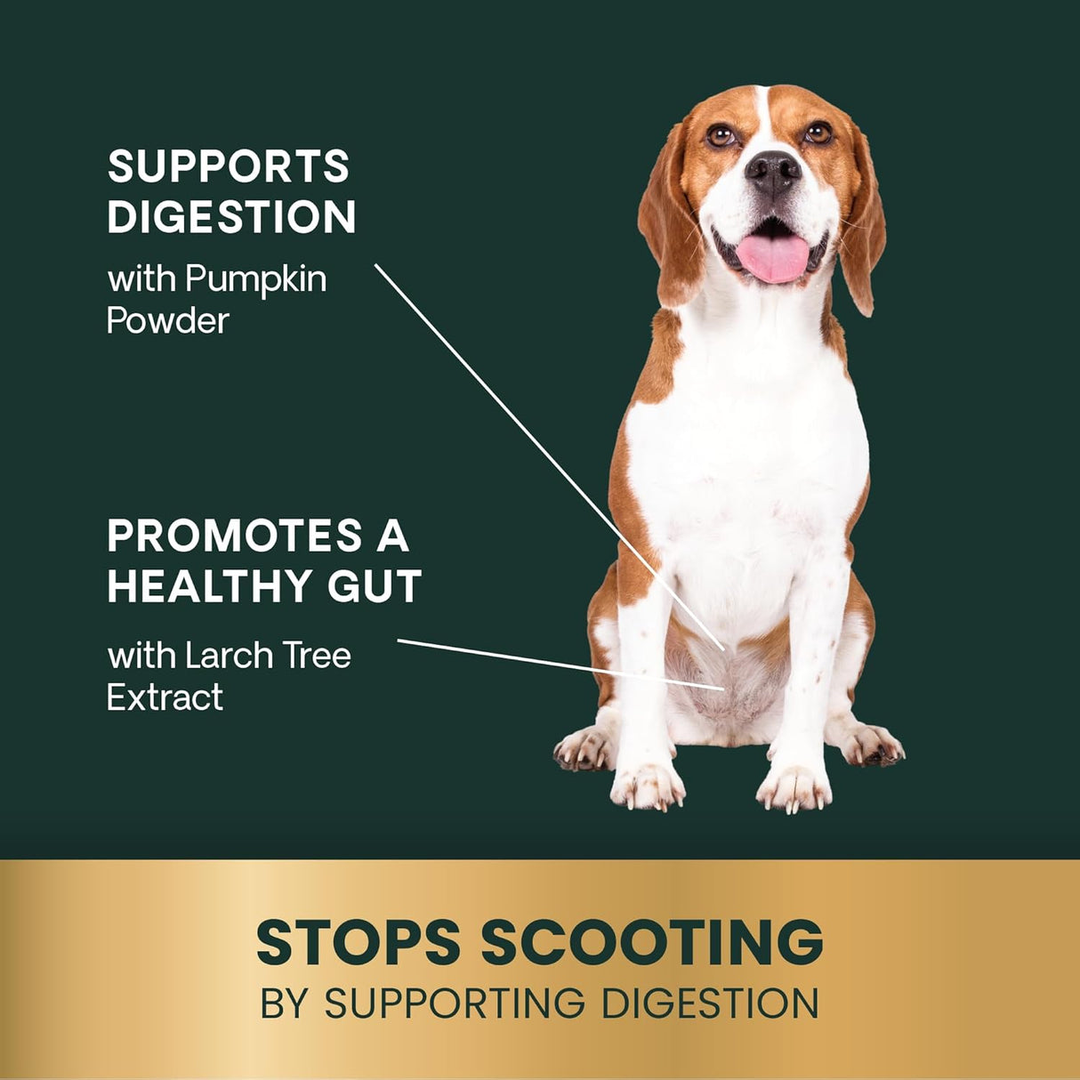 VetriScience Scoot Control Chews 40 Masticables