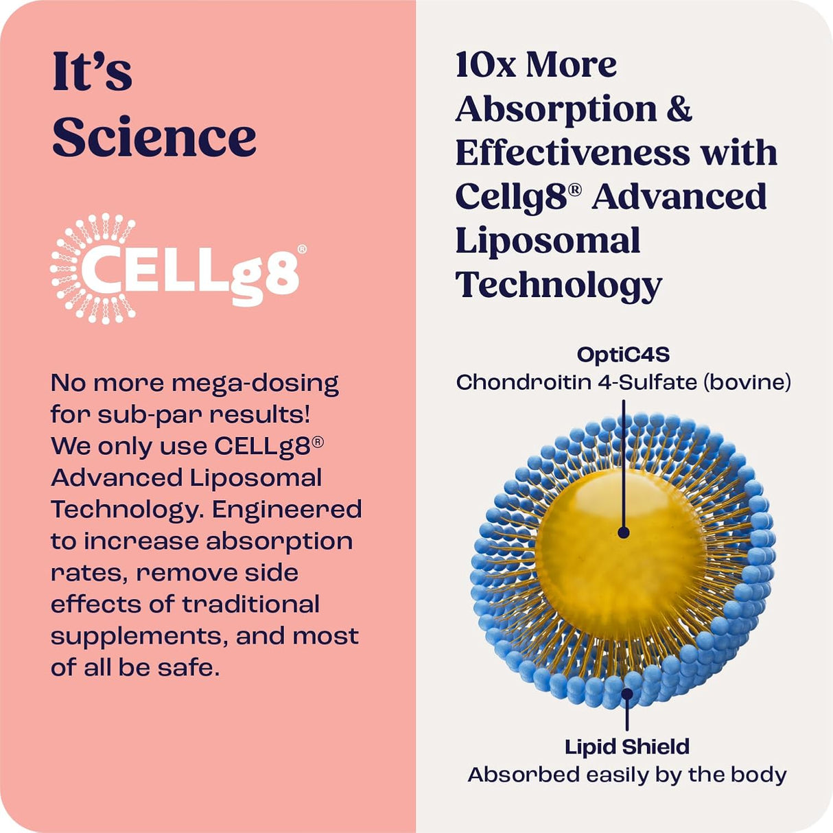 Summit Feline Pain Relief Supplement Inflammation Hip & Joint Support Vitamin for Cats 6Ml.