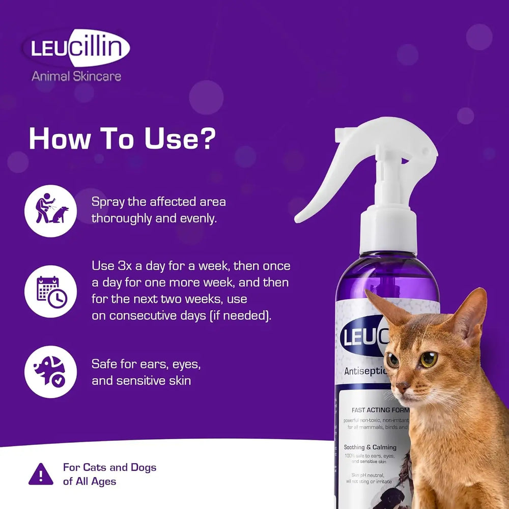 LEUCILLIN - Leucillin Natural Antiseptic Spray for Dogs 150Ml. - The Red Vitamin MX - Remedios Para La Picazón De Perros - {{ shop.shopifyCountryName }}