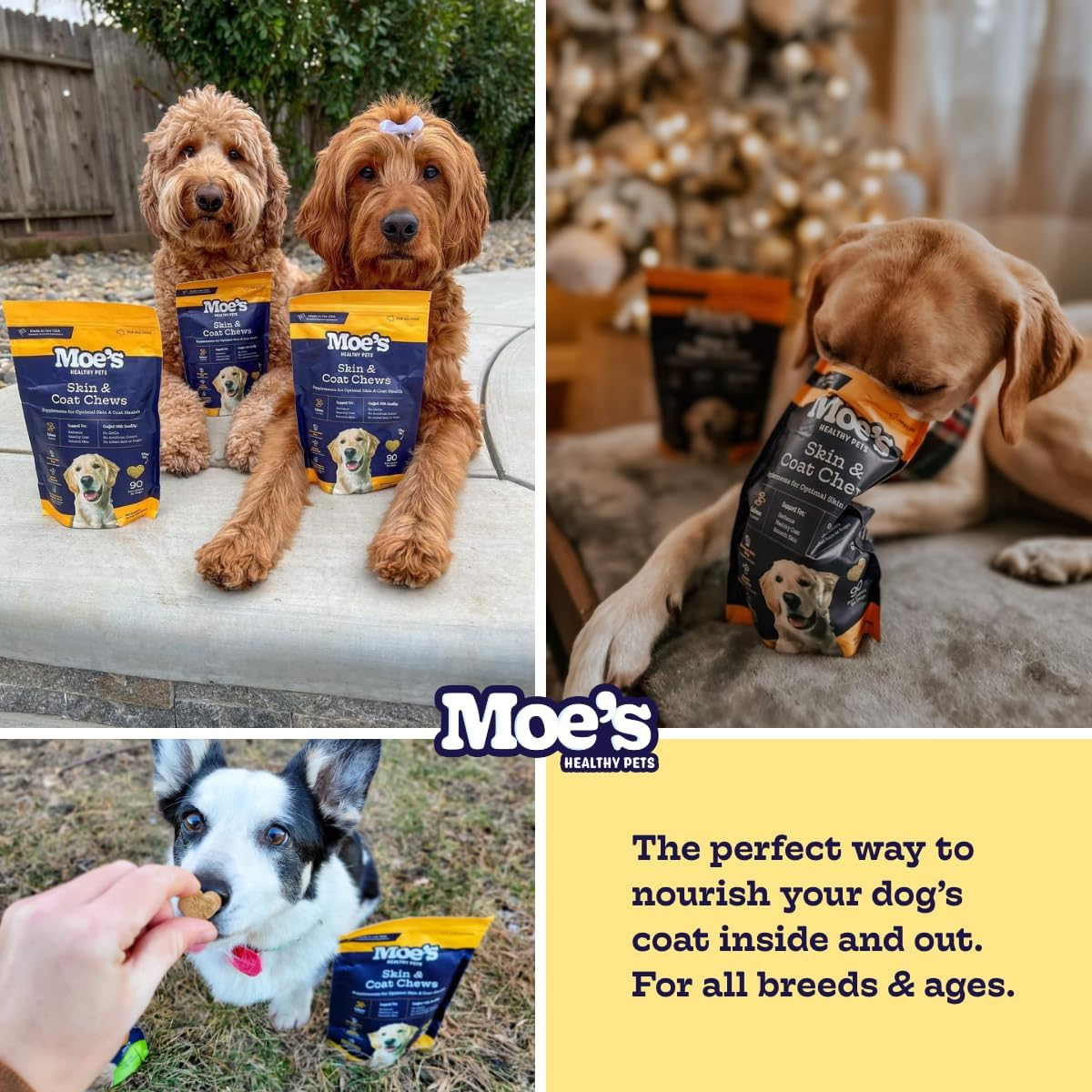 Moe’s Skin & Coat Omega 3 6 9 and Vitamin Supplement for Dogs 90 Masticables