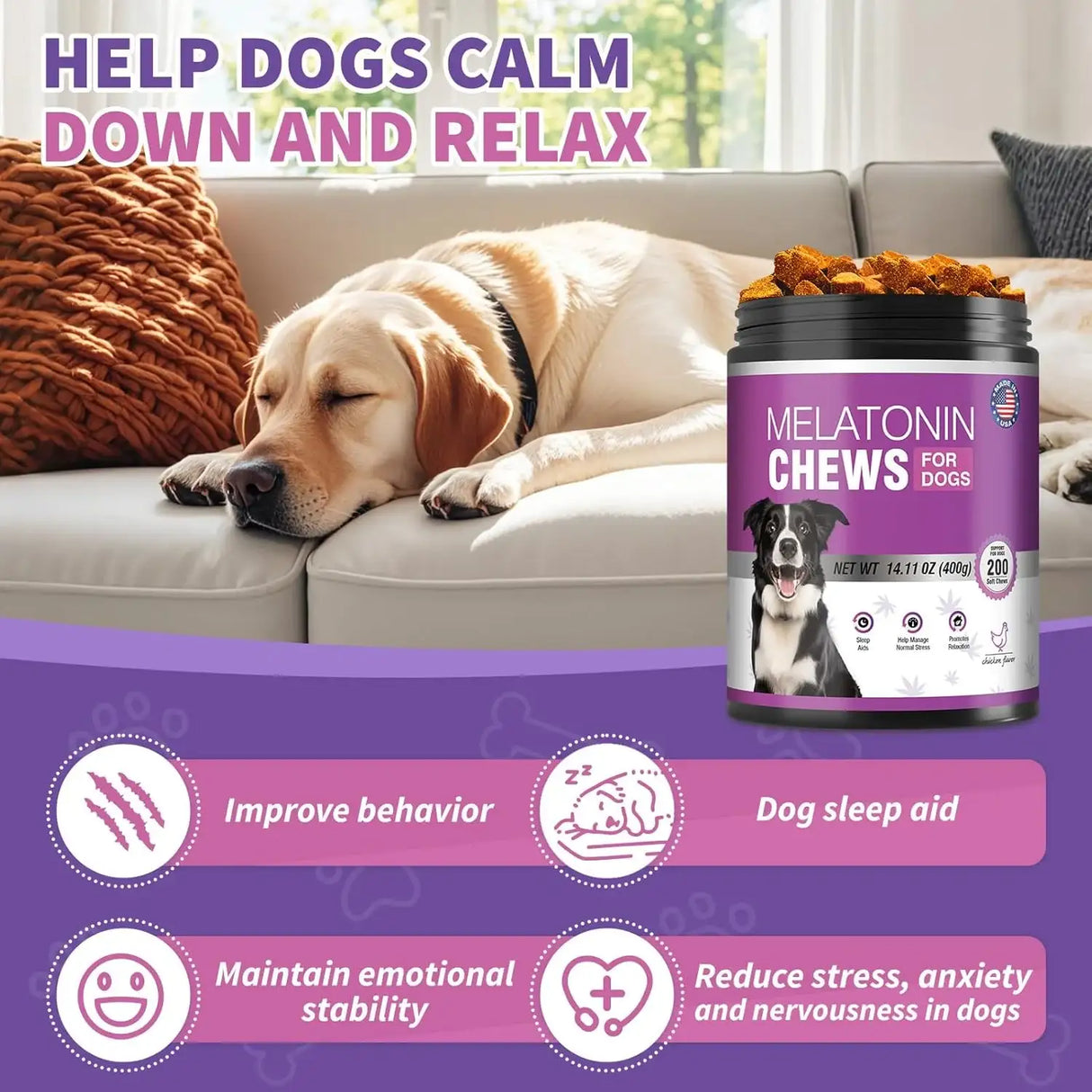 TTIXRL - TTIXRL Calming Melatonin for Dogs 200 Masticables - The Red Vitamin MX - Relajantes Para Perros - {{ shop.shopifyCountryName }}