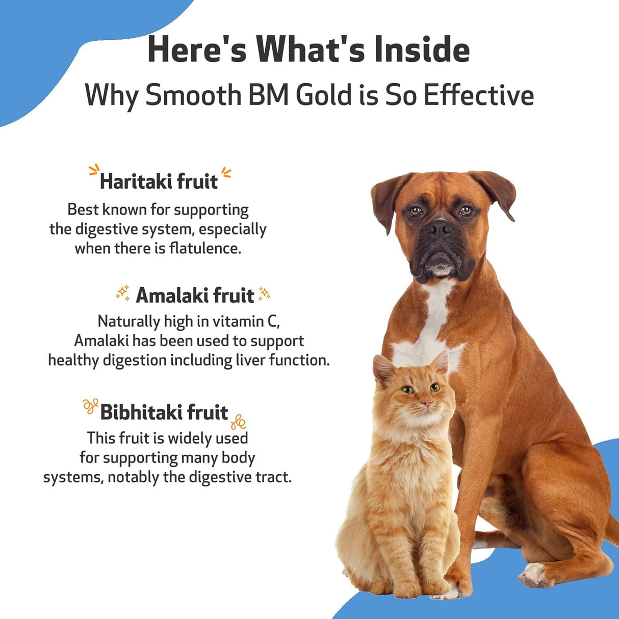Pet Wellbeing Smooth BM Gold for Cats 4 Fl.Oz.