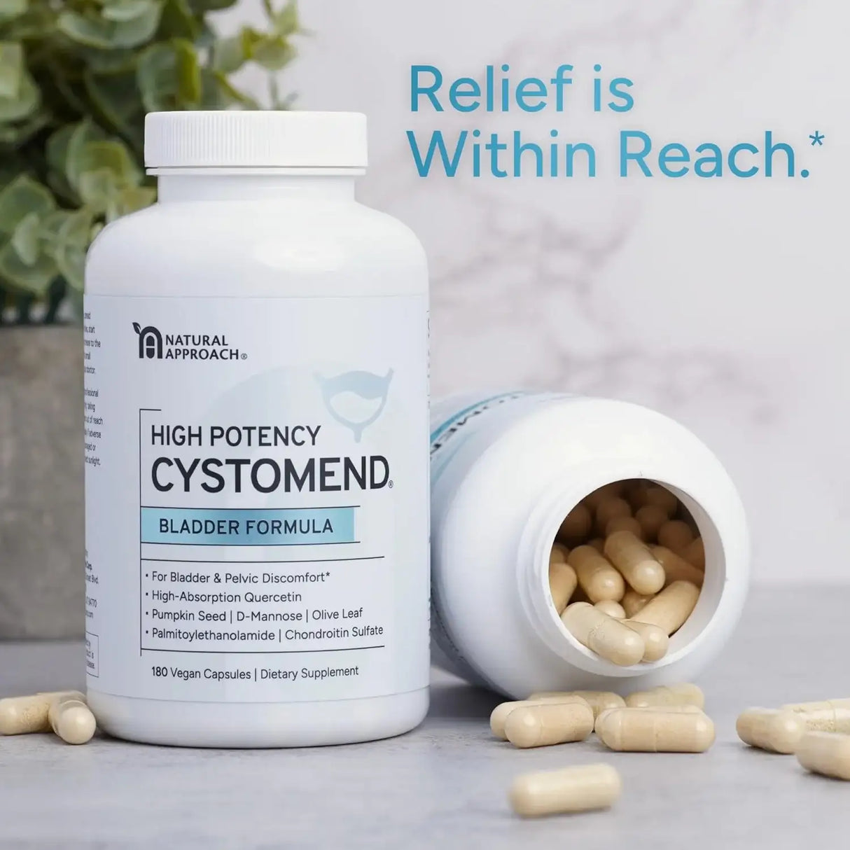 CYSTOMEND - CystoMend High Potency Bladder & Pelvic Discomfort Formula 180 Capsulas - The Red Vitamin MX - Suplementos Alimenticios - {{ shop.shopifyCountryName }}
