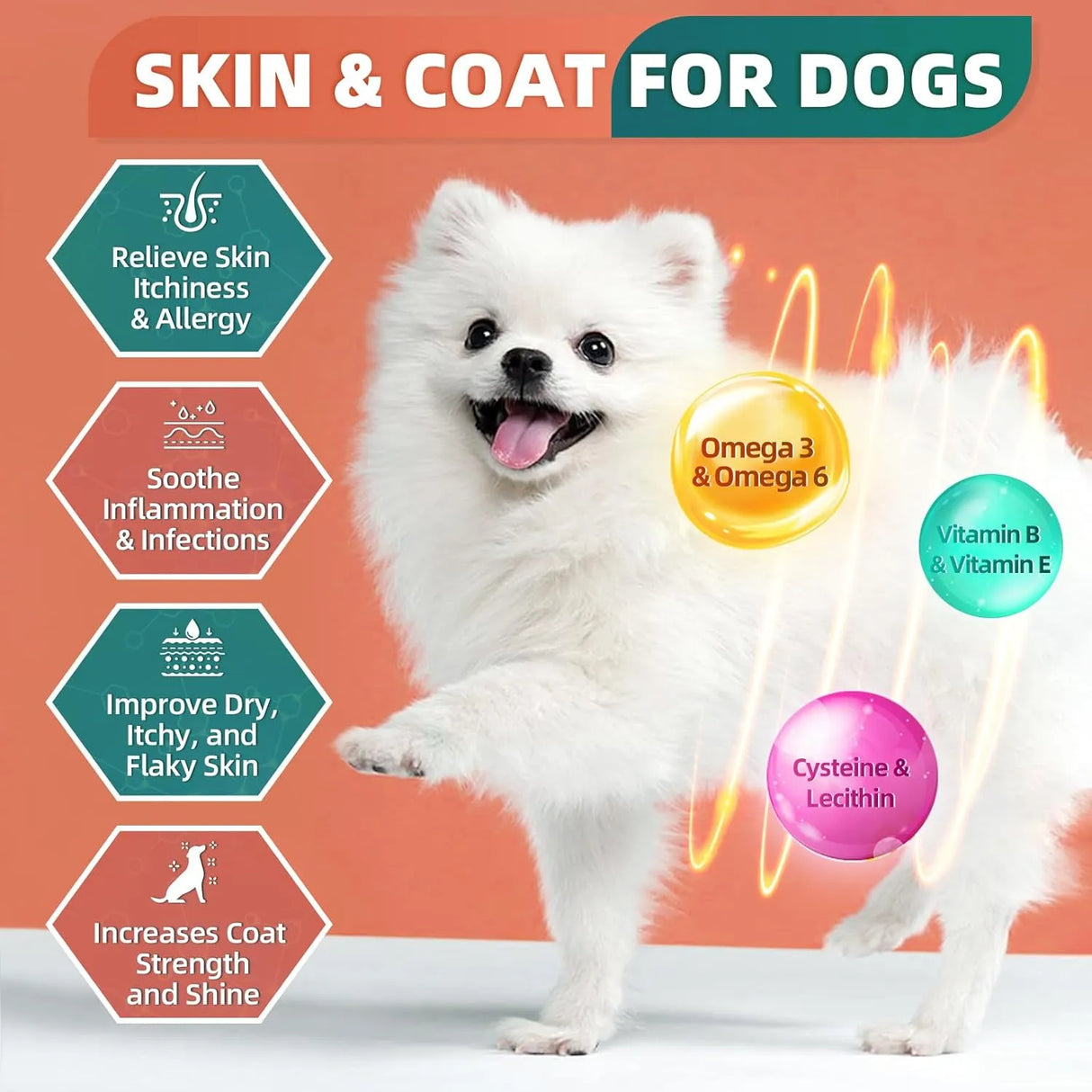 DR FOSTER - DR FOSTER Dog Multivitamin Chicken Flavor 180 Masticables - The Red Vitamin MX - Multivitamínicos Para Perros - {{ shop.shopifyCountryName }}