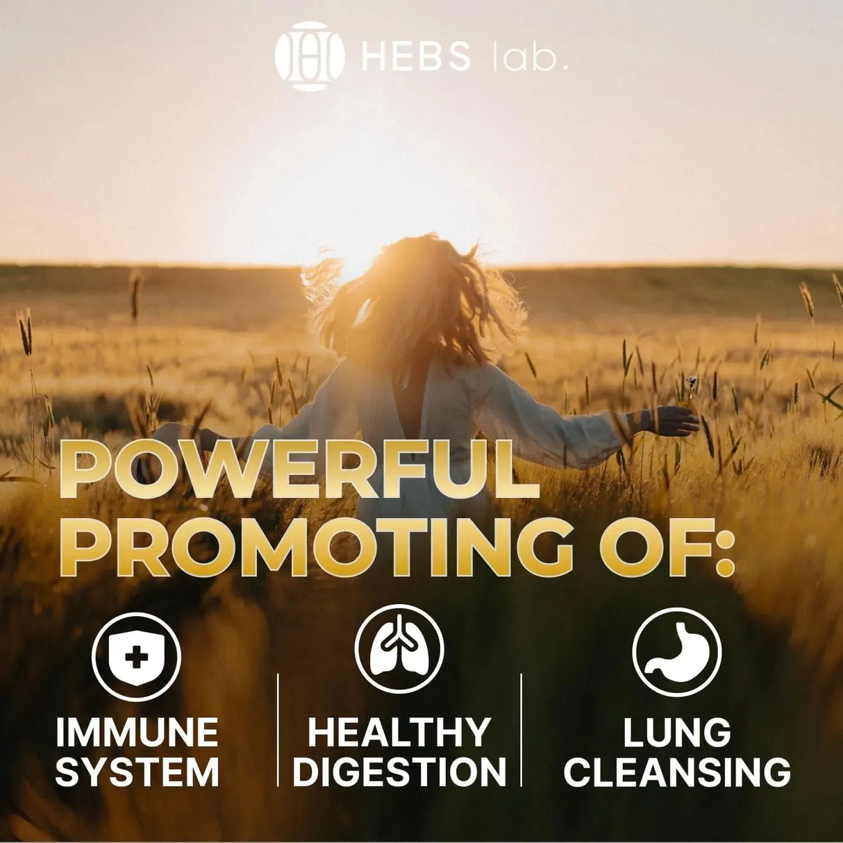 HEBS LAB. - HEBS LAB. Mullein Leaf Extract Organic Lung Cleanse 2 Fl.Oz. - The Red Vitamin MX - Suplementos Alimenticios - {{ shop.shopifyCountryName }}
