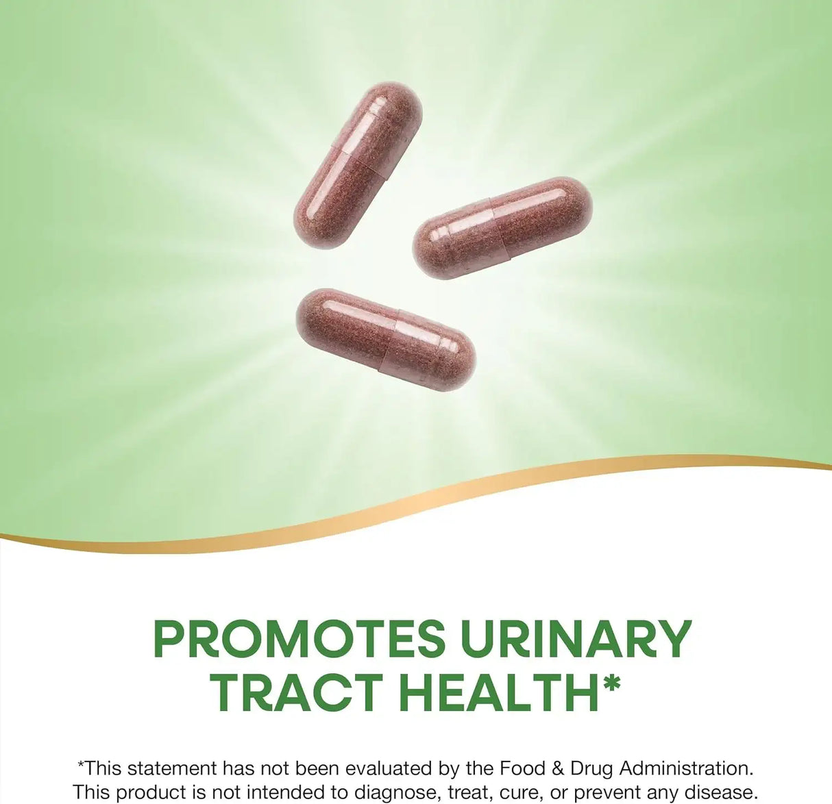 NATURE'S WAY - Nature's Way Urinary with Cranberry Premium Blend 100 Capsulas - The Red Vitamin MX - Suplementos Alimenticios - {{ shop.shopifyCountryName }}