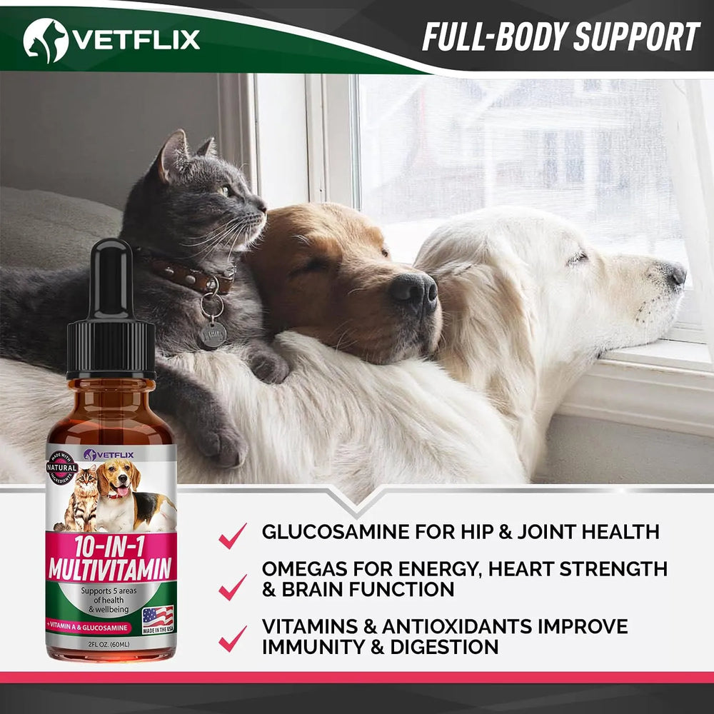 VETFLIX - Vetflix 10-in-1 Essential Multivitamin Blend 60Ml. - The Red Vitamin MX - Multivitamínicos Para Perros - {{ shop.shopifyCountryName }}