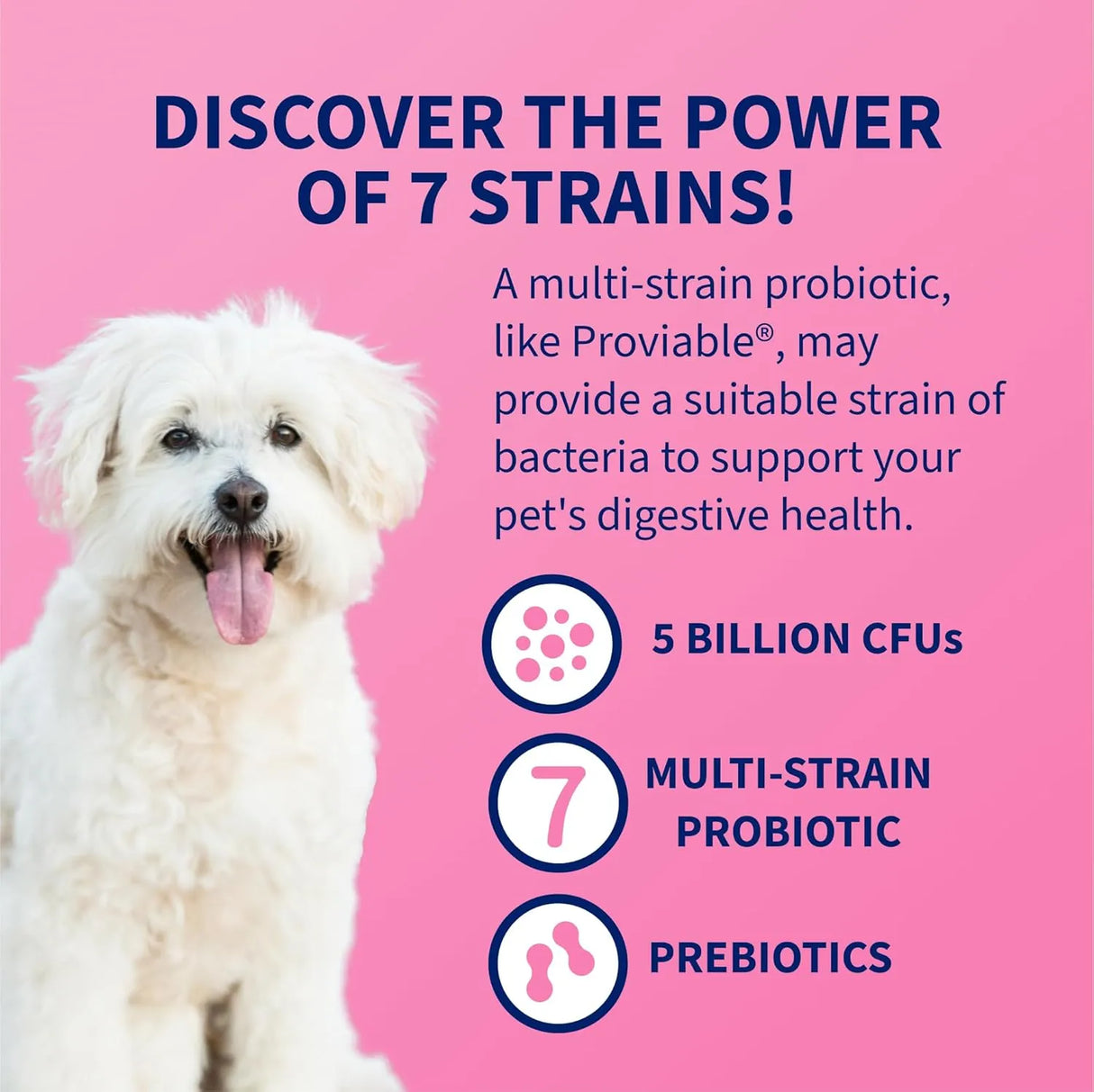 NUTRAMAX - Nutramax Proviable Probiotics for Dogs 60 Tabletas Masticables - The Red Vitamin MX - Probióticos Para Perros - {{ shop.shopifyCountryName }}