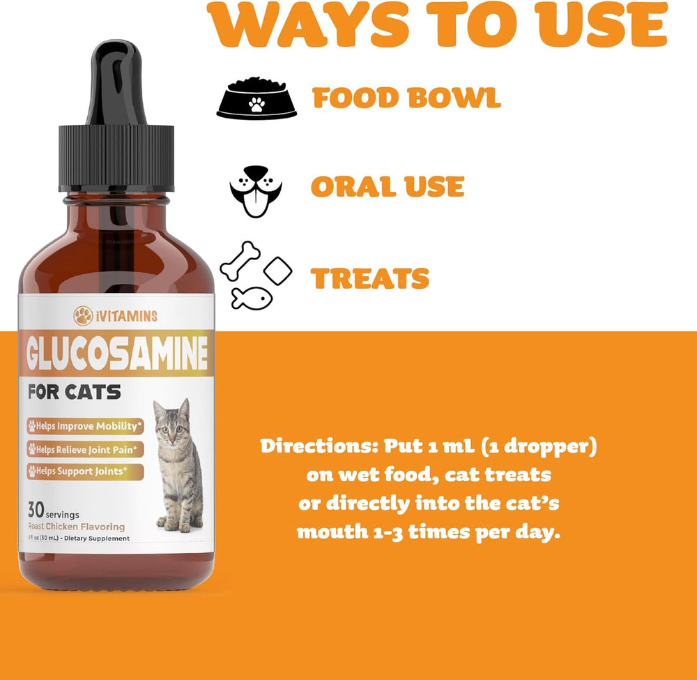 iVitamins Glucosamine for Cats Chicken Flavor 1 Fl.Oz.