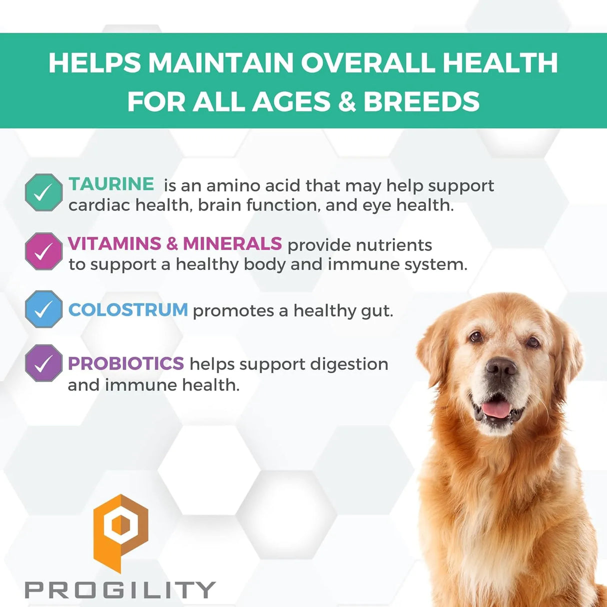 NOOTIE - Nootie Progility Multvitamin for Dogs 90 Masticables - The Red Vitamin MX - Multivitamínicos Para Perros - {{ shop.shopifyCountryName }}