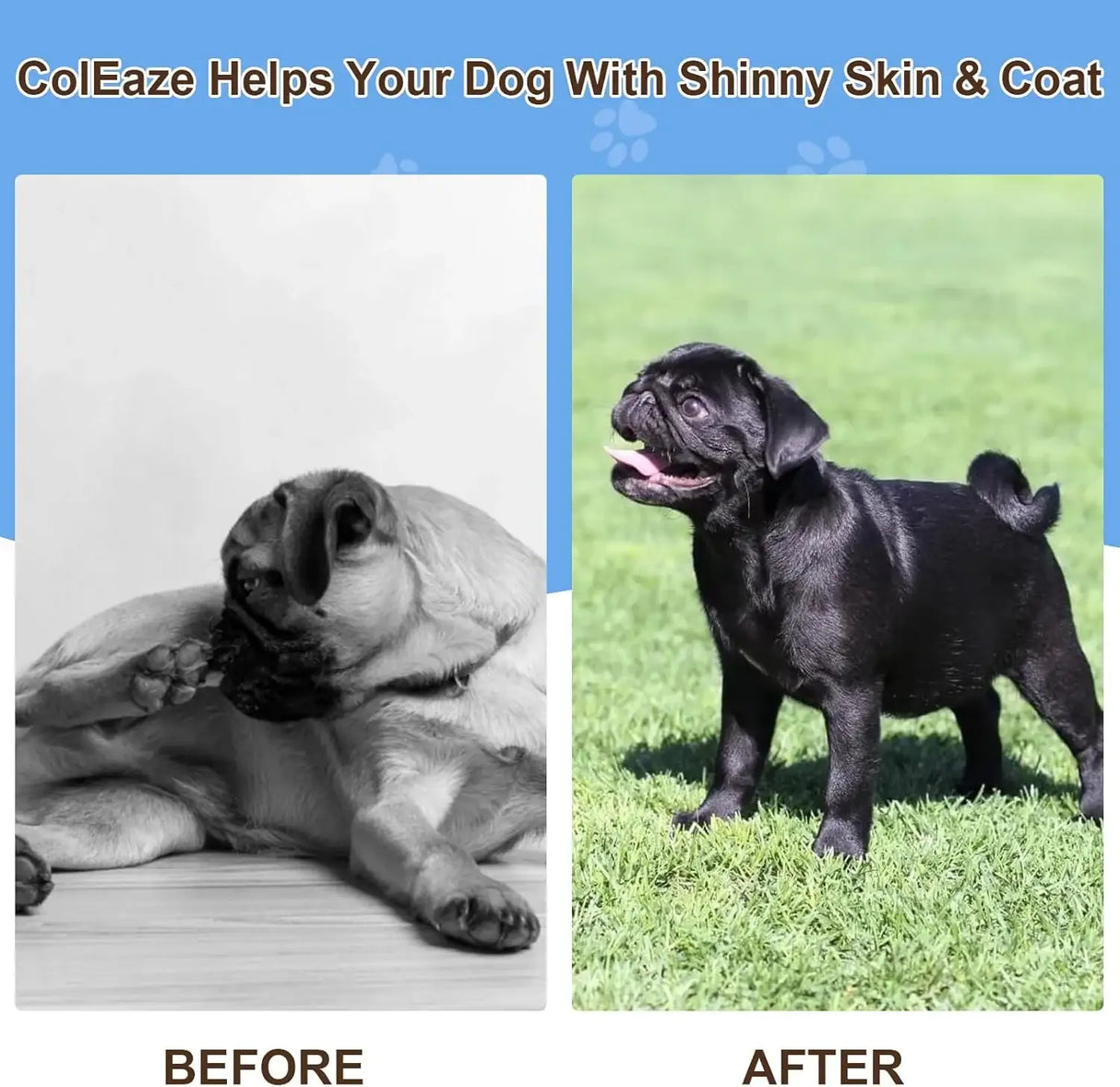 COLEAZE - ColEaze Salmon Oil for Dogs 200 Masticables - The Red Vitamin MX - Aceite De Pescado Para Perros - {{ shop.shopifyCountryName }}