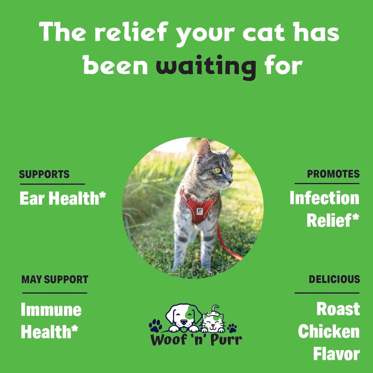 Woof 'n' Purr Natural Cat Ear Infection Treatment 1 Fl.Oz.