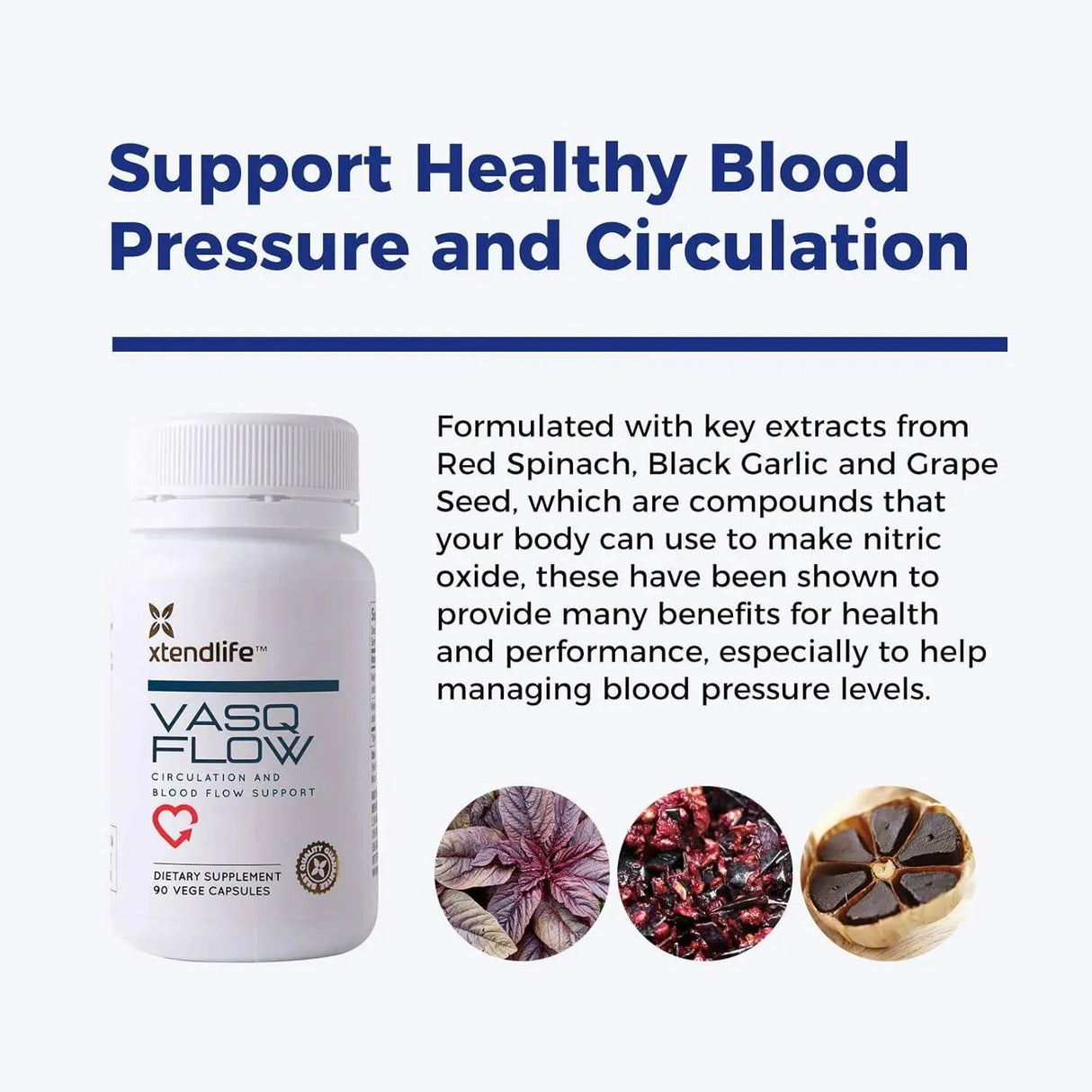 XTENDLIFE - Xtendlife VasQFlow Circulation and Blood Flow Support 90 Capsulas - The Red Vitamin MX - Suplementos Alimenticios - {{ shop.shopifyCountryName }}