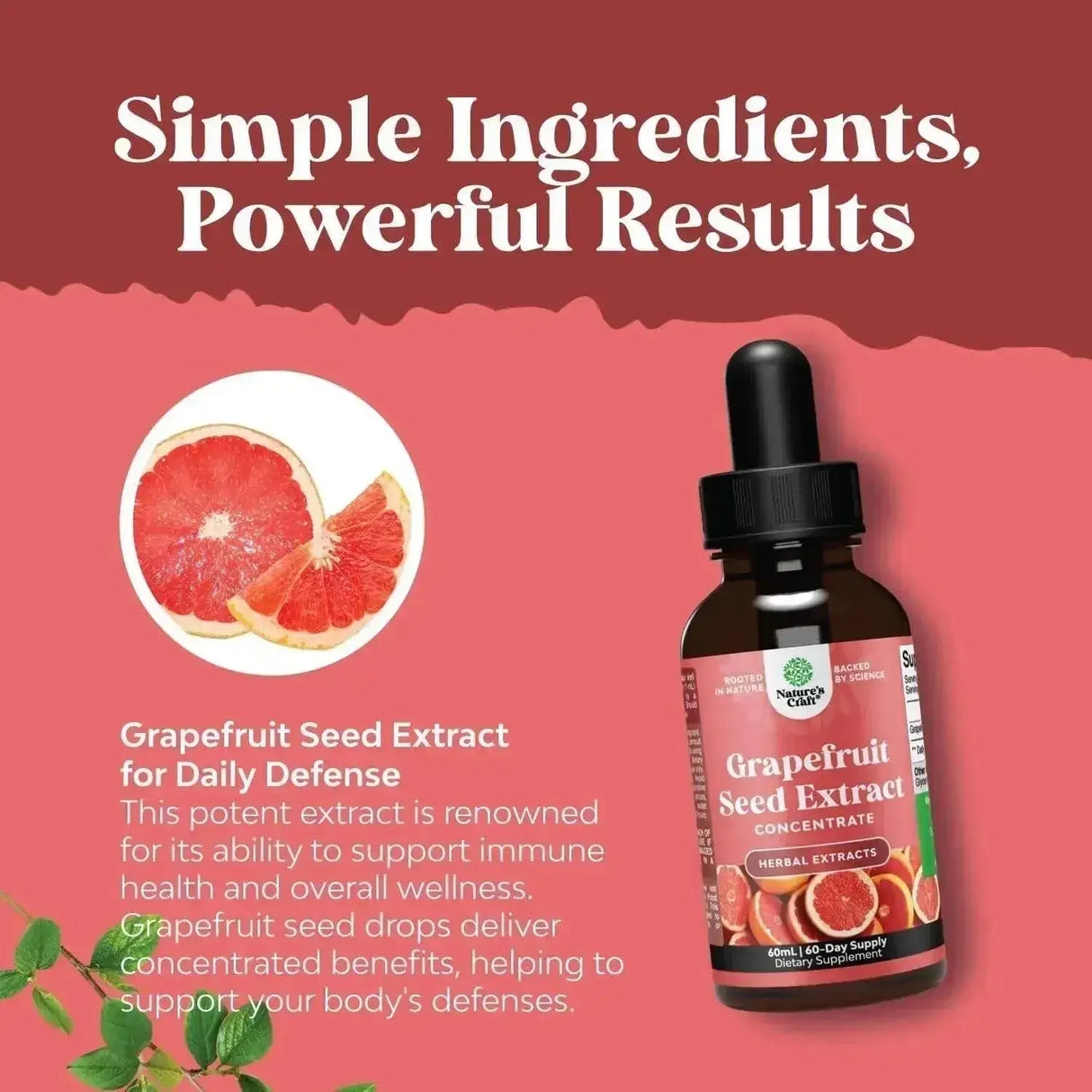 NATURES CRAFT - Natures Craft GSE Grapefruit Seed Extract Liquid 60Ml. - The Red Vitamin MX - Suplementos Alimenticios - {{ shop.shopifyCountryName }}