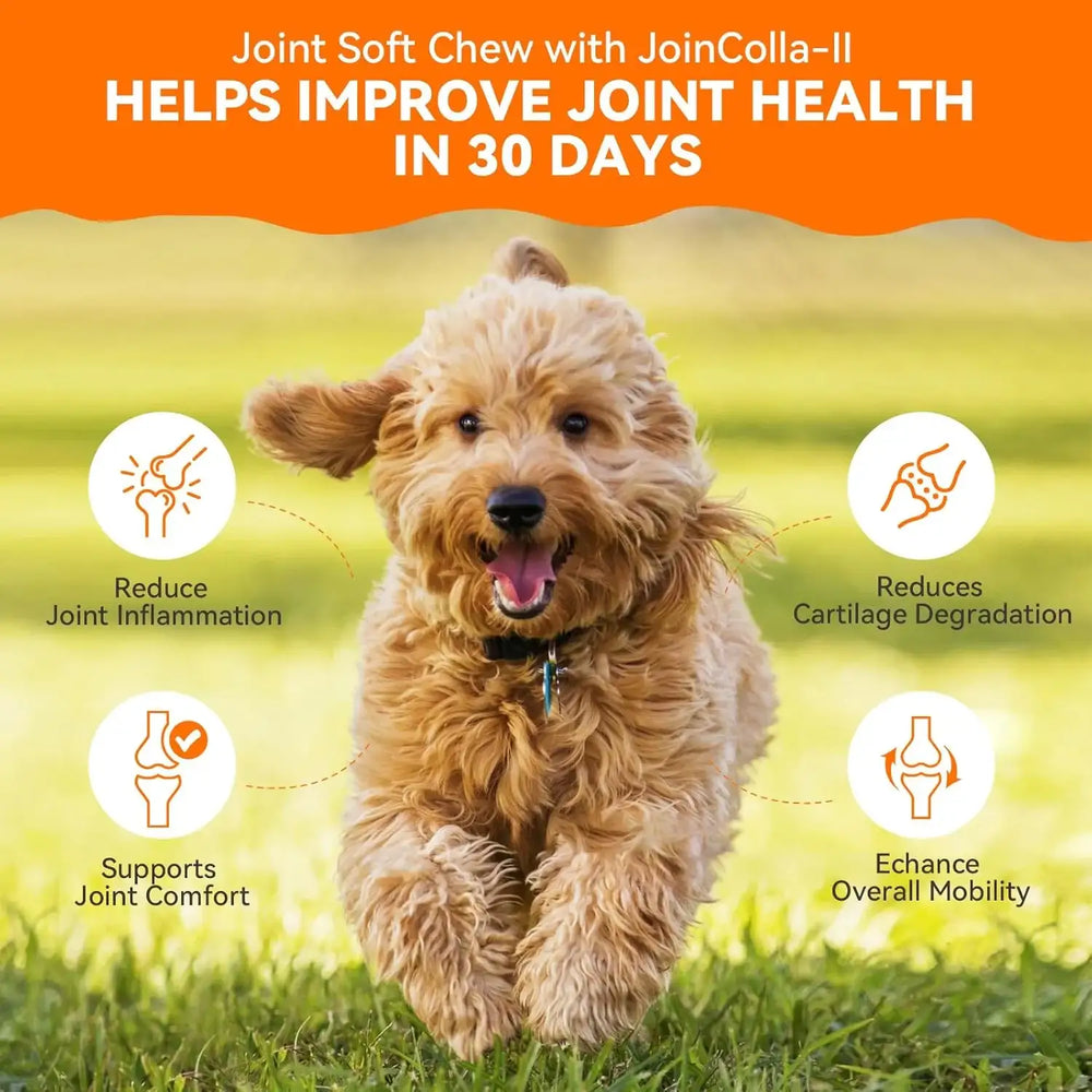 PUAINTA - PUAINTA Dog Hip and Joint Supplement 30 Masticables - The Red Vitamin MX - Cuidado De Cadera Y Articulaciones Para Perros - {{ shop.shopifyCountryName }}