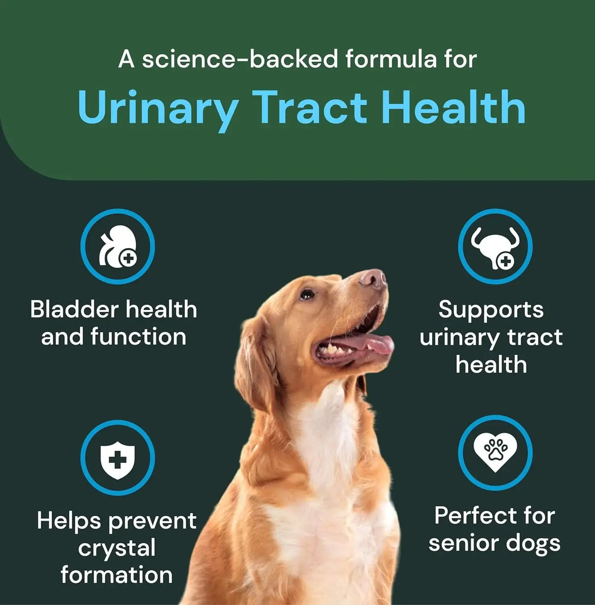 VETRISCIENCE - VETRISCIENCE Veterinary Strength UT Health Chews 60 Masticables - The Red Vitamin MX - Salud De Tracto Urinario Para Perros - {{ shop.shopifyCountryName }}