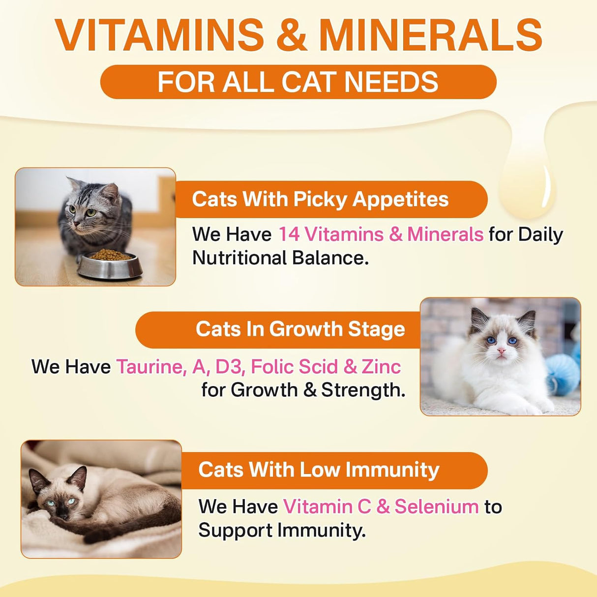 Puyrzoe Cat Multivitamin 500 Masticables