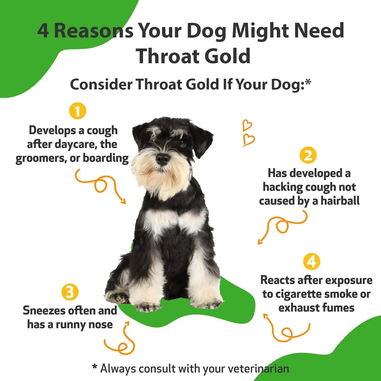 PET WELLBEING - Pet Wellbeing Throat Gold for Dogs 4 Fl.Oz. - The Red Vitamin MX - Medicamentos Sin Receta Para Perros - {{ shop.shopifyCountryName }}