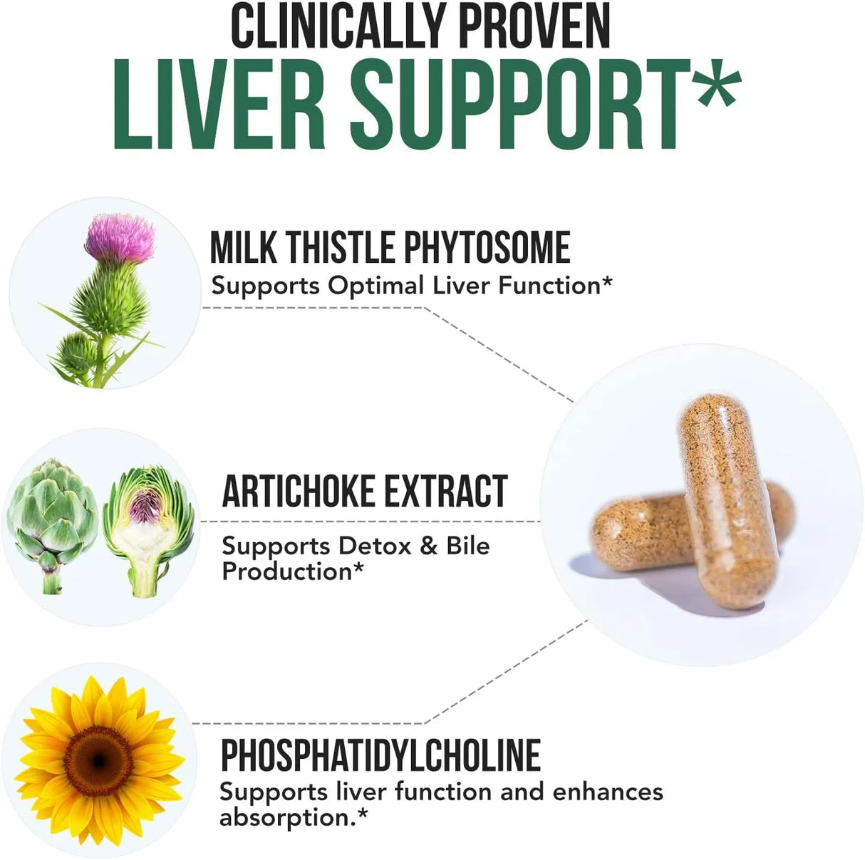 TRIQUETRA - Triquetra Health SoActive Milk Thistle 60 Capsulas - The Red Vitamin MX - Suplementos Alimenticios - {{ shop.shopifyCountryName }}