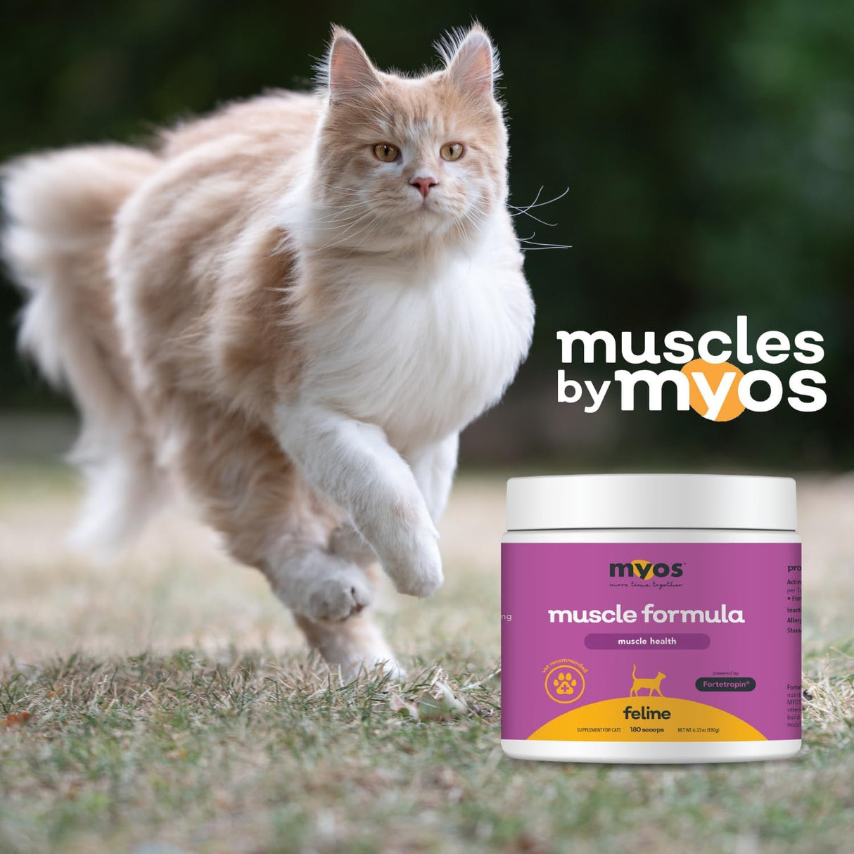 MYOS Feline Muscle Formula Powered by Fortetropin for Senior Cats 180 Servicios 180Gr.
