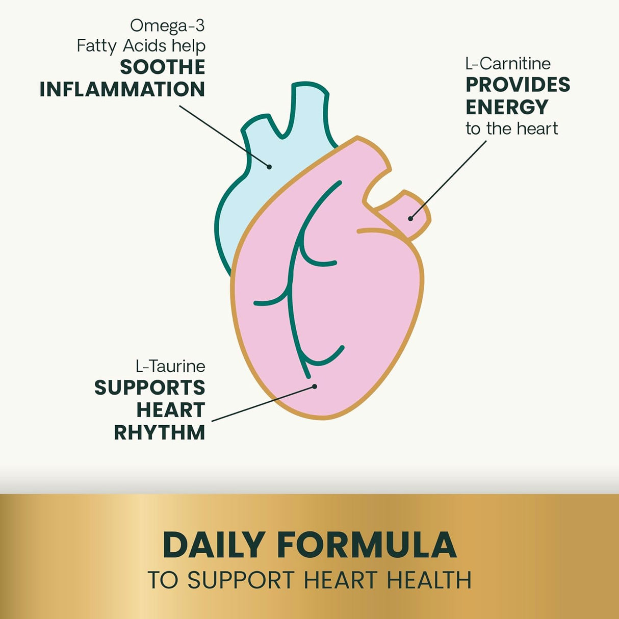 VetriScience Omega Healthy Heart Easy-Open Capsules 90 Capsulas